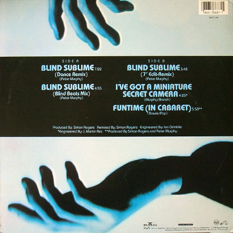 'Blind Sublime' US 12" rear cover