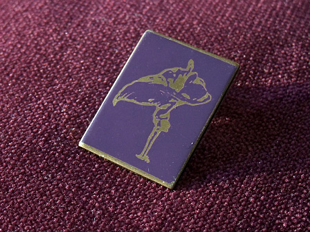 Cocteau Twins 1984 enamel/metal badge