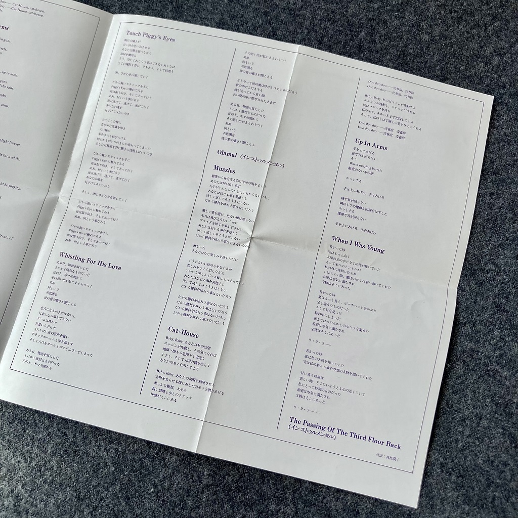 Danielle Dax - 'The Chemical Wedding' Japanese CD - right-hand side of additional insert middle spread