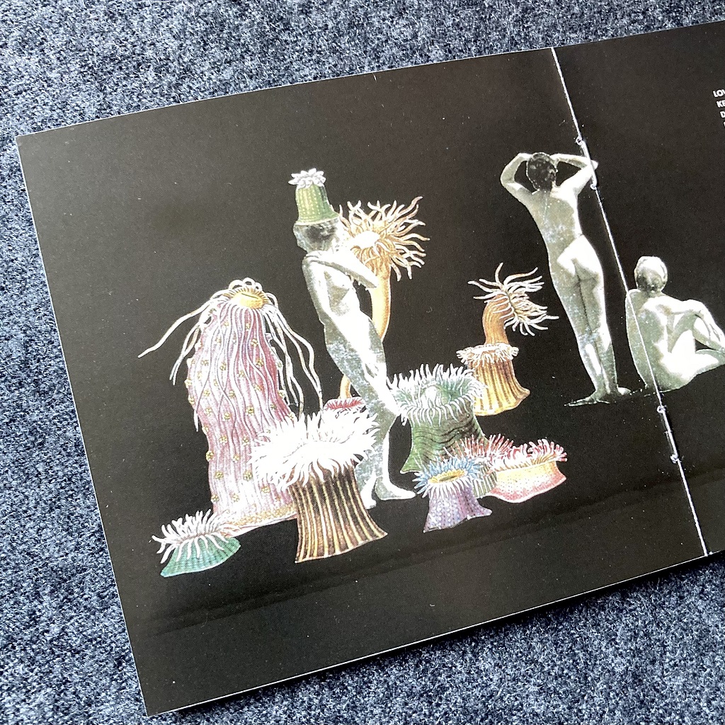 Love and Rockets - Seventh Dream Of Teenage Heaven - Blu-ray - booklet page 4